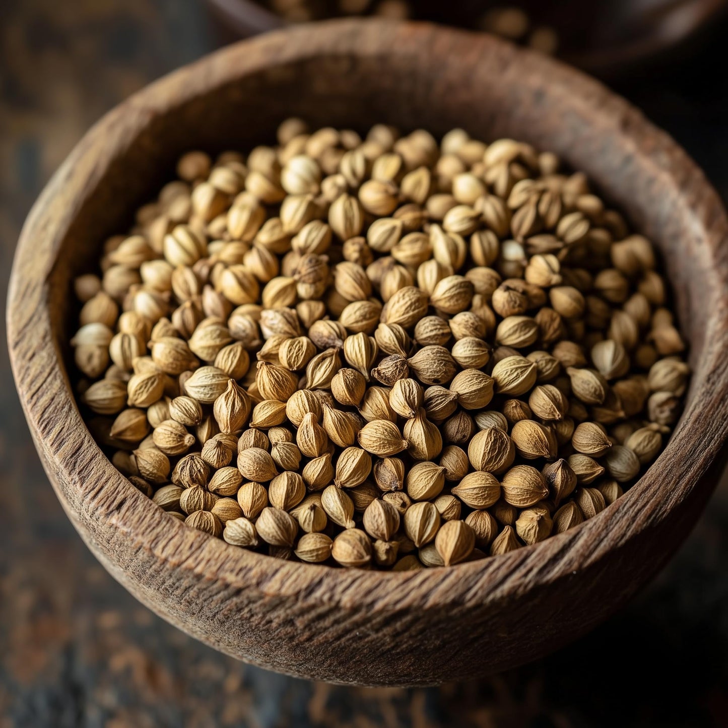 SavorSatch Coriander Seeds Whole – 5lb Resealable Pouch | Certified Kosher, Non-GMO, Aromatic Spice for Cooking, Baking, Seasoning & Indian Cuisine