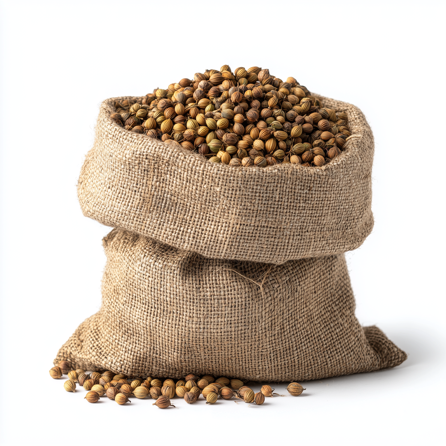 SavorSatch Coriander Seeds Whole – 5lb Resealable Pouch | Certified Kosher, Non-GMO, Aromatic Spice for Cooking, Baking, Seasoning & Indian Cuisine