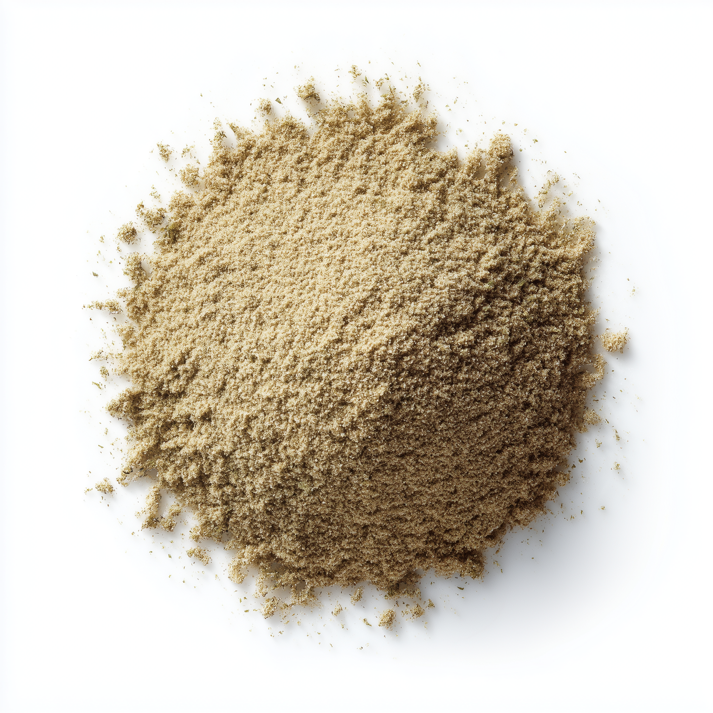SavorSatch Ground Coriander Powder –5lb