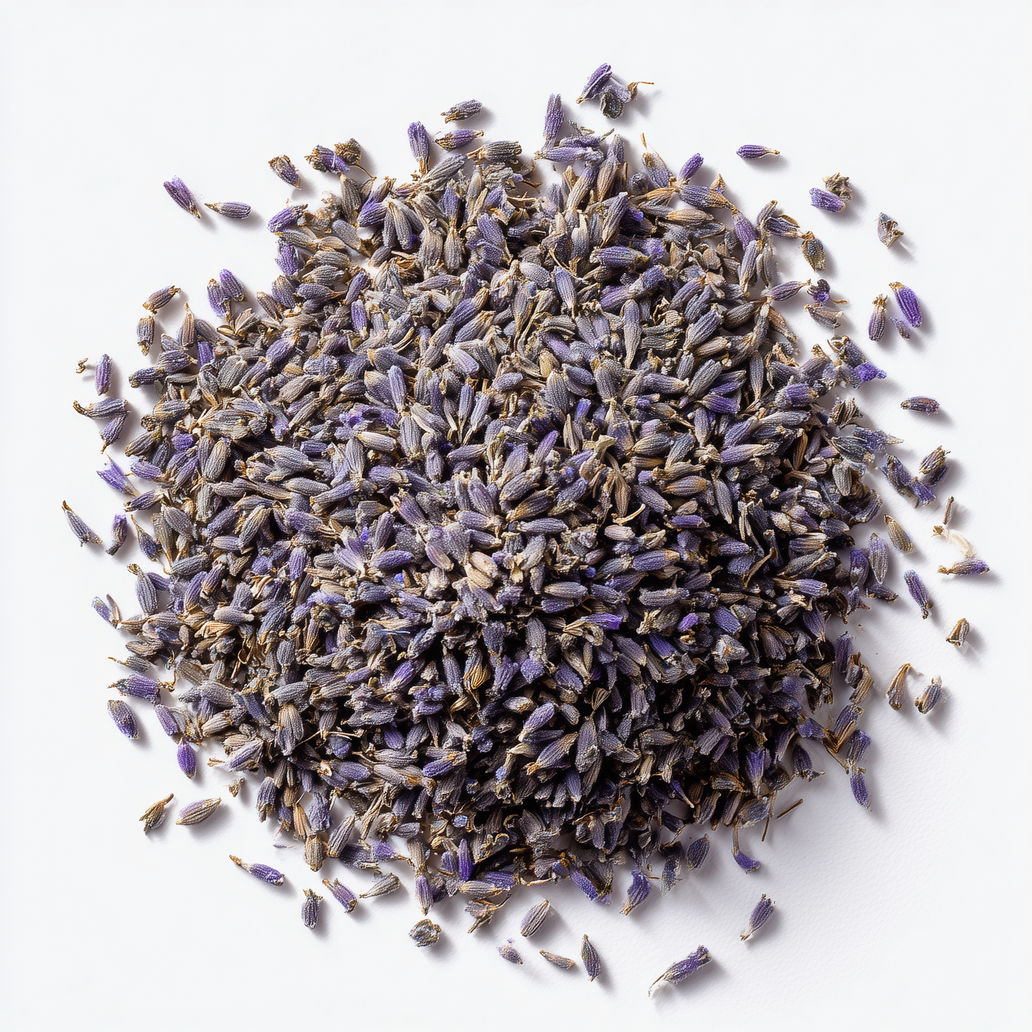 SavorSatch Dried Lavender Flowers Buds – 2 oz Resealable Pouch | Culinary Grade, Whole Flower, Kosher Certified, Non-GMO | Soothing Aroma, Herbal Tea, Baking, Crafts, Sachets – Product of Albania